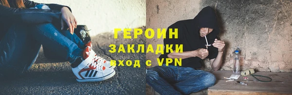 дживик Ельня