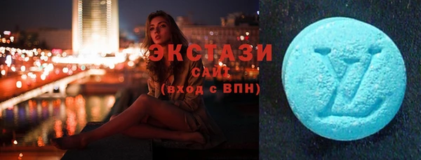 дживик Ельня