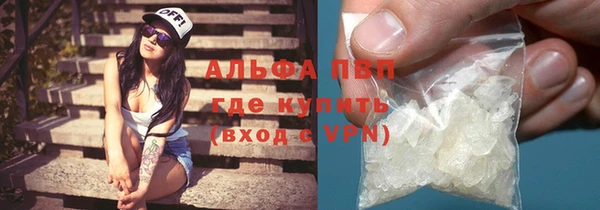 дживик Ельня