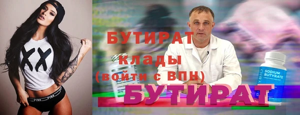дживик Ельня