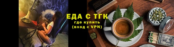 дживик Ельня