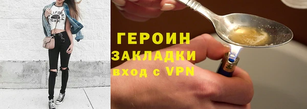 дживик Ельня