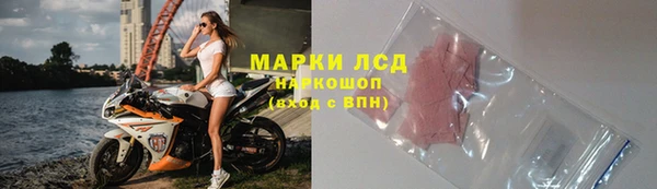 дживик Ельня