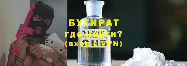 дживик Ельня