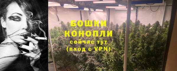 дживик Ельня