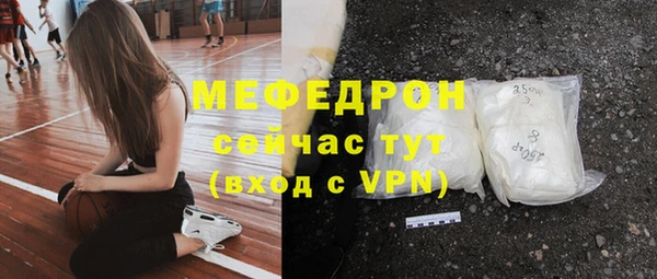 дживик Ельня
