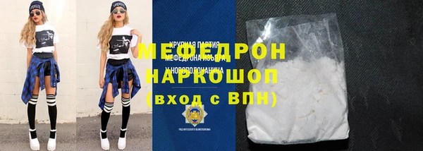 дживик Ельня