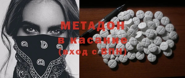 дживик Ельня
