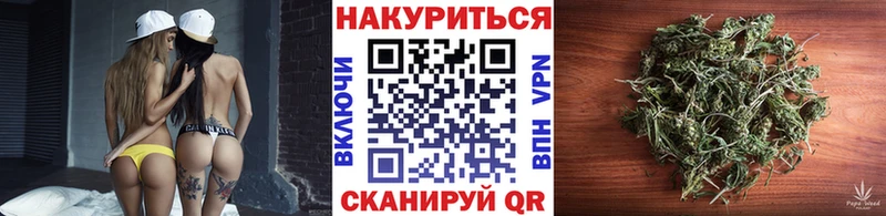 Купить закладки  Долгопрудный  Каннабис сатива 